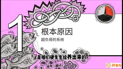 第三节：【爆款单品&middot;加州鲈】从&ldquo;玻璃鱼&rdquo;到&ldquo;摇钱树&rdquo;的通关秘籍，课程：《黄金鳞甲：2025中国淡水鱼高效养殖实战营》