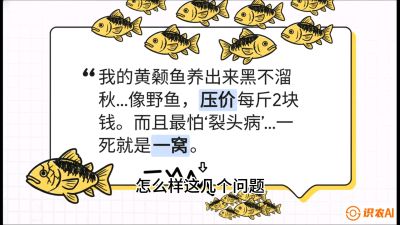 第四节：【黄金单品&middot;黄颡鱼】解决&ldquo;一点红&rdquo;与&ldquo;香蕉色&rdquo;的悖论，课程：《黄金鳞甲：2025中国淡水鱼高效养殖实战营》