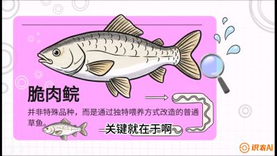第六节：【老品升级&middot;脆肉鲩】如何让草鱼身价翻倍？，课程：《黄金鳞甲：2025中国淡水鱼高效养殖实战营》