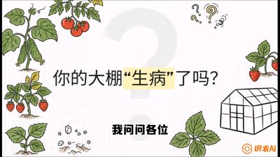 第2节（解毒篇）： 大棚里的&ldquo;红白绿&rdquo;警报&mdash;&mdash;读懂土壤盐渍化的求救信号，课程：《揭秘土壤的秘密：让土地帮你赚钱》#识农AI