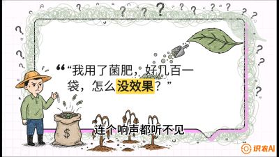 第4节（活化篇）： 土壤里的&ldquo;雇佣兵&rdquo;&mdash;&mdash;如何用菌剂以小博大，解决死棵难题，课程：《揭秘土壤的秘密：让土地帮你赚钱》#识农AI