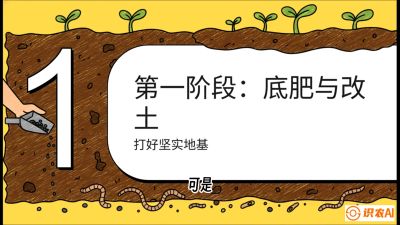 第6节（统筹篇）： 省钱又增产的&ldquo;黄金配比&rdquo;&mdash;&mdash;不同作物全年的养土实操方案，课程：《揭秘土壤的秘密：让土地帮你赚钱》#识农AI