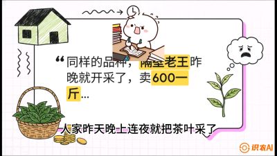 第01节（抢早篇）：与老天爷抢饭吃：如何利用&ldquo;温差阈值&rdquo;让头采茶提前5天上市？，课程：《茶金时代：从&ldquo;看天吃饭&rdquo;到&ldquo;精准控局&rdquo;的茶叶高产提质实战课》
