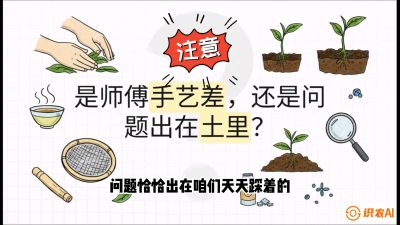 第02节（土肥篇）：告别&ldquo;苦涩水味&rdquo;：揭秘&ldquo;碳氮比&rdquo;调控术，种出自带兰花香的好茶底，课程：《茶金时代：从&ldquo;看天吃饭&rdquo;到&ldquo;精准控局&rdquo;的茶叶高产提质实战课》