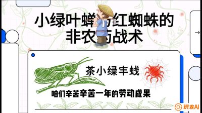 第03节（虫害篇）：看不见的吸血鬼：小绿叶蝉与红蜘蛛的&ldquo;非农药&rdquo;团灭战术（抗性治理），课程：《茶金时代：从&ldquo;看天吃饭&rdquo;到&ldquo;精准控局&rdquo;的茶叶高产提质实战课》