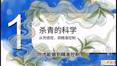 第05节（加工篇）：决胜2分钟：用&ldquo;数字温控&rdquo;破解杀青不匀，复刻大师级手工口感，课程：《茶金时代：从&ldquo;看天吃饭&rdquo;到&ldquo;精准控局&rdquo;的茶叶高产提质实战课》