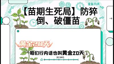 第2节：【苗期生死局】防猝倒、破僵苗，决定后期产量的&ldquo;黄金20天&rdquo;，课程：《辣椒种植实战特训营，从工业辣椒到精品小米辣，教你如何把&ldquo;草&rdquo;种成&ldquo;金&rdquo;》