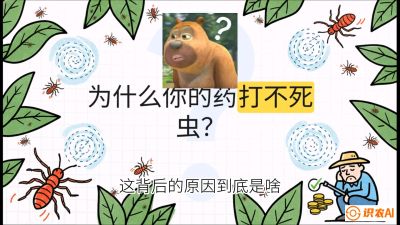 第4节：【虫害歼灭战】打不死的蓟马、隐形的茶黄螨：抗性时代的&ldquo;混配绝杀&rdquo;，课程：《辣椒种植实战特训营，从工业辣椒到精品小米辣，教你如何把&ldquo;草&rdquo;种成&ldquo;金&rdquo;》
