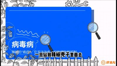 第5节：【病毒病阻击】辣椒的&ldquo;癌症&rdquo;怎么治？从&ldquo;绝收恐慌&rdquo;到&ldquo;带毒生产&rdquo;的逆转术，课程：《辣椒种植实战特训营，从工业辣椒到精品小米辣，教你如何把&ldquo;草&rdquo;种成&ldquo;金&rdquo;》