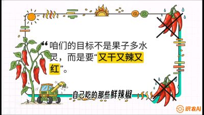 第7节：【工业辣椒专场】追求极致辣度！干物质提升与机械化采收的&ldquo;催红秘籍&rdquo;，课程：《辣椒种植实战特训营，从工业辣椒到精品小米辣，教你如何把&ldquo;草&rdquo;种成&ldquo;金&rdquo;》