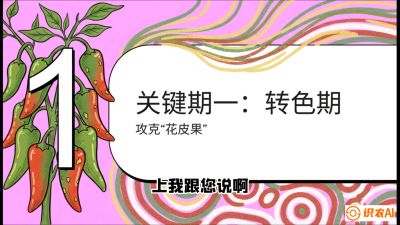 第8节：【小米辣线椒专场】颜值即正义！防花皮、防炭疽，打造收购商抢着要的&ldquo;精品果&rdquo;，课程：《辣椒种植实战特训营，从工业辣椒到精品小米辣，教你如何把&ldquo;草&rdquo;种成&ldquo;金&rdquo;》