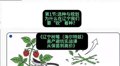 第一节： 选种与规划&mdash;&mdash;为什么在辽宁我们要&ldquo;砍&rdquo;着种？，课程：《辽宁树莓（海尔特兹）高产避坑实战课：从保苗到高价》