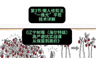 第三节： 懒人修剪法&mdash;&mdash;&ldquo;一推光&rdquo;平茬技术详解，课程：《辽宁树莓（海尔特兹）高产避坑实战课：从保苗到高价》