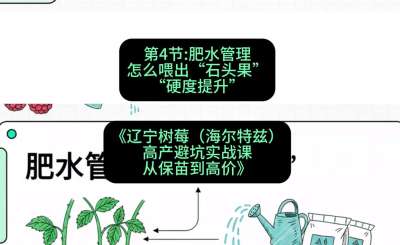 第四节： 肥水管理&mdash;&mdash;怎么喂出&ldquo;石头果&rdquo;（硬度提升），课程：《辽宁树莓（海尔特兹）高产避坑实战课：从保苗到高价》