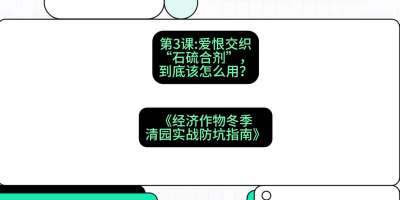 第3节：【核武药剂】爱恨交织的&ldquo;石硫合剂&rdquo;，到底该怎么用？，课程：《经济作物冬季清园&middot;实战防坑指南》#识农AI