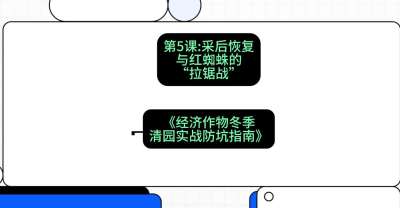 第5节：【柑橘清园】采后恢复与红蜘蛛的&ldquo;拉锯战&rdquo;，课程：《经济作物冬季清园&middot;实战防坑指南》#识农AI