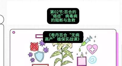 第02节：百合的&ldquo;癌症&rdquo;&mdash;&mdash;病毒病的阻断与急救，课程：《卷丹百合&ldquo;无病高产&rdquo;植保实战课》#识农AI