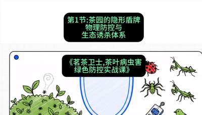 第01节：茶园的&ldquo;隐形盾牌&rdquo;&mdash;&mdash;物理防控与生态诱杀体系，课程：《茗茶卫士&mdash;&mdash;茶叶病虫害绿色防控实战课》#识农AI