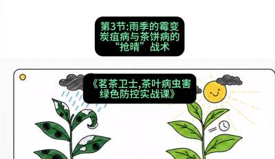 第03节：雨季的霉变&mdash;&mdash;炭疽病与茶饼病的&ldquo;抢晴&rdquo;战术，课程：《茗茶卫士&mdash;&mdash;茶叶病虫害绿色防控实战课》#识农AI