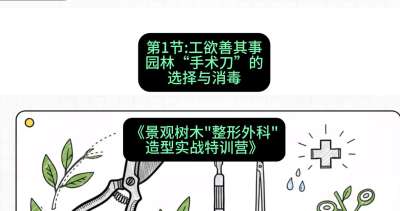 第01节：工欲善其事&mdash;&mdash;园林&ldquo;手术刀&rdquo;的选择与消毒，课程：《景观树木&ldquo;整形外科&rdquo;造型实战特训营》#识农AI