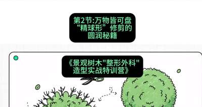 第02节：万物皆可盘&mdash;&mdash;&ldquo;精球形&rdquo;修剪的圆润秘籍，课程：《景观树木&ldquo;整形外科&rdquo;造型实战特训营》#识农AI