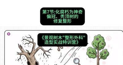 第07节：化腐朽为神奇&mdash;&mdash;偏冠、秃顶树的修复整形，课程：《景观树木&ldquo;整形外科&rdquo;造型实战特训营》#识农AI