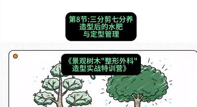 第08节：三分剪七分养&mdash;&mdash;造型后的水肥与定型管理，课程：《景观树木&ldquo;整形外科&rdquo;造型实战特训营》#识农AI