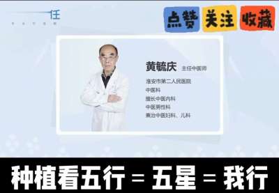 中药材淫羊藿怎么种？听专家一次讲明白！不挑地块好管理，耐寒耐旱省心省力，新手也能轻松上手，药用价值高、市场需求稳，妥妥的增收好品种～ 从生长习性到采收要点，干货满满无废话，种植疑问直接问，一对一答疑解