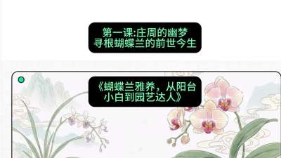 第一节：庄周的幽梦：寻根蝴蝶兰的前世今生，课程：《蝴蝶兰雅养六讲：从阳台小白到园艺达人》#识农AI