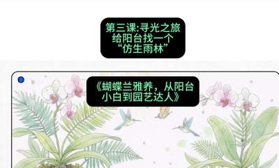 第三节：寻光之旅：给阳台找一个&ldquo;仿生雨林&rdquo;，课程：《蝴蝶兰雅养六讲：从阳台小白到园艺达人》#识农AI