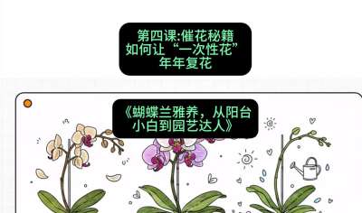 第四节：催花秘籍：如何让&ldquo;一次性花&rdquo;年年复花，课程：《蝴蝶兰雅养六讲：从阳台小白到园艺达人》#识农AI