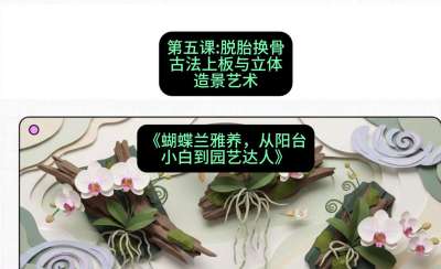 第五节：脱胎换骨：古法上板与立体造景艺术，课程：《蝴蝶兰雅养六讲：从阳台小白到园艺达人》#识农AI