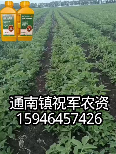 大豆苗前封闭，可封红根苋菜，灰菜，兰花菜，野豆子，捞豆秧等恶性杂草，封杀兼备的高端产品。
