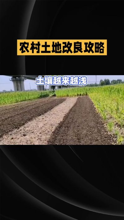 1. 先搞懂：你到底要改良哪块地、种什么
 
- 土土土在哪里？
就是你自家农田、菜地、果园，哪块地想种庄稼，就测哪块地的土。
​
- 有水没有水？
有水能浇：改良更省事，施肥、调酸碱都好操作。
没水