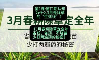 第1节：窗口期认知，为什么3月是除草的&ldquo;生死线&rdquo;？，课程：《3月春耕除草定全年：省钱、省药、不烧苗、少打两遍药的秘密》